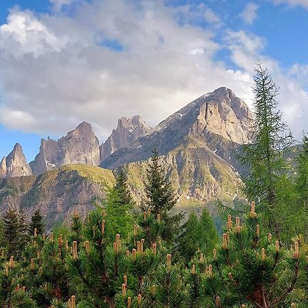 Apartmán La Tana Del Lupo Falcade Exteriér fotografie
